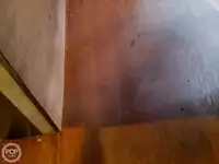 Feribot satılık
