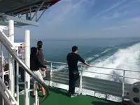 Kruvaziyer gemisi satılık