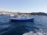 Trol gemisi satılık