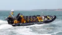 Sert şişme bot satılık