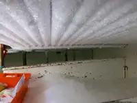Trol gemisi satılık