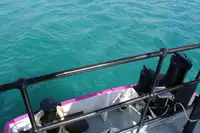 General Cargo/Multi-purpose satılık