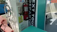 Kruvaziyer gemisi satılık