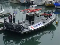 devriye botu satılık