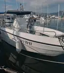 Kruvaziyer gemisi satılık