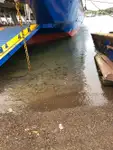 Ro-Ro gemisi satılık