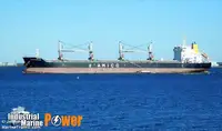 Yığın taşıyıcı satılık