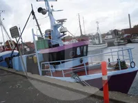 Canlı balık taşıma gemisi satılık