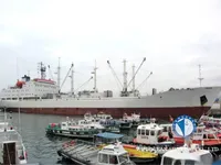 Soğutmalı gemi satılık