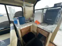 Kruvaziyer gemisi satılık