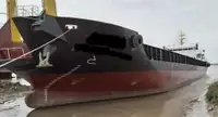 Çıkarma Gemisi, Tank satılık
