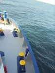 Soğutmalı gemi satılık