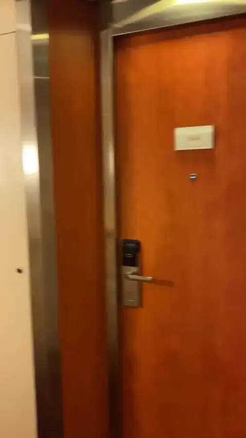 Kruvaziyer gemisi satılık