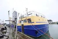 Kruvaziyer gemisi satılık