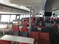 Katamaran satılık