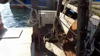 Trol gemisi satılık