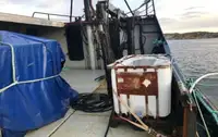 Trol gemisi satılık