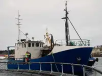 Trawler satılık
