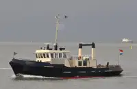 devriye botu satılık
