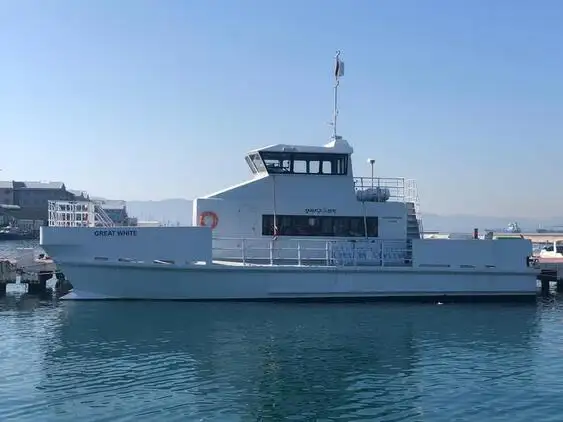 Katamaran satılık