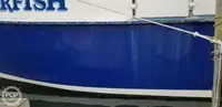 Katamaran satılık