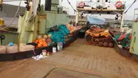 Trol gemisi satılık