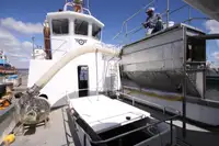 Dredger (Kazık çakma gemisi) satılık