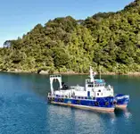 Katamaran satılık