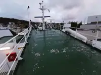 Yığın taşıyıcı satılık