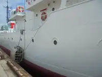 Devriye botu satılık