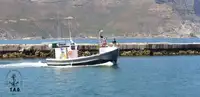 Trol gemisi satılık