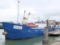 Gezi teknesi satılık