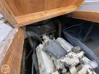 Kruvaziyer gemisi satılık