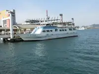 Yolcu gemisi satılık