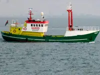 devriye botu satılık