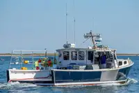 Purse seiner satılık