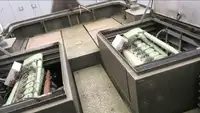 Çekme teknesi satılık