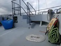 Katamaran satılık