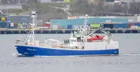 Purse seiner satılık