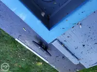 Feribot satılık