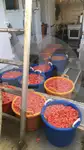 Çift kirişli trol satılık