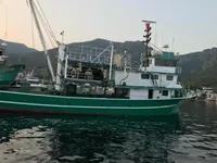 Çift ağlı trol satılık