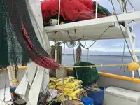 Trol gemisi satılık