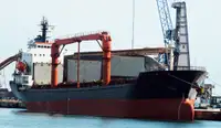Dökme yük gemisi satılık