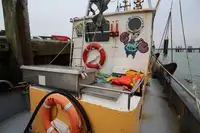 Trol gemisi satılık