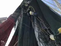 Trol gemisi satılık