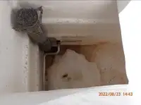 Çift ağlı trol satılık