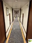 Kruvaziyer gemisi satılık
