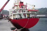 Yığın taşıyıcı satılık