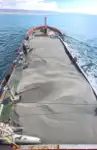Konteyner gemisi satılık